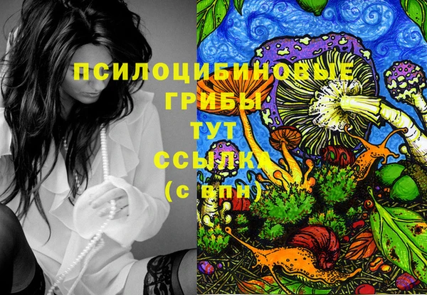 MDMA Беломорск
