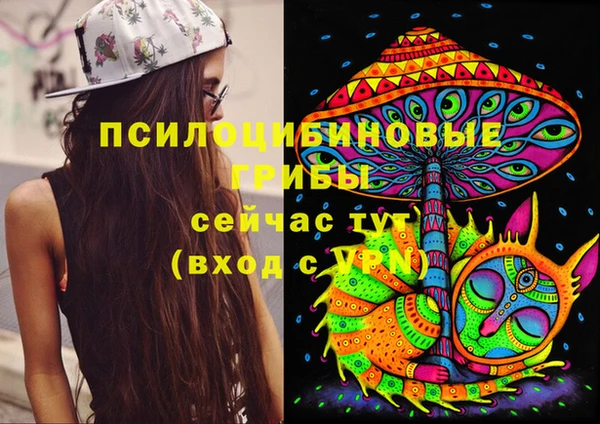 молекула духа Балахна