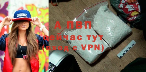 mdpv Белокуриха