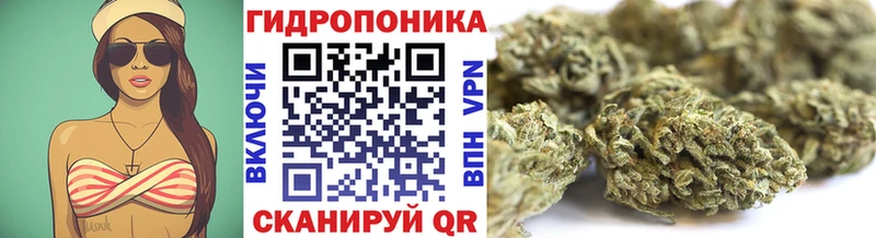 цена   Краснотурьинск  Канабис VHQ 